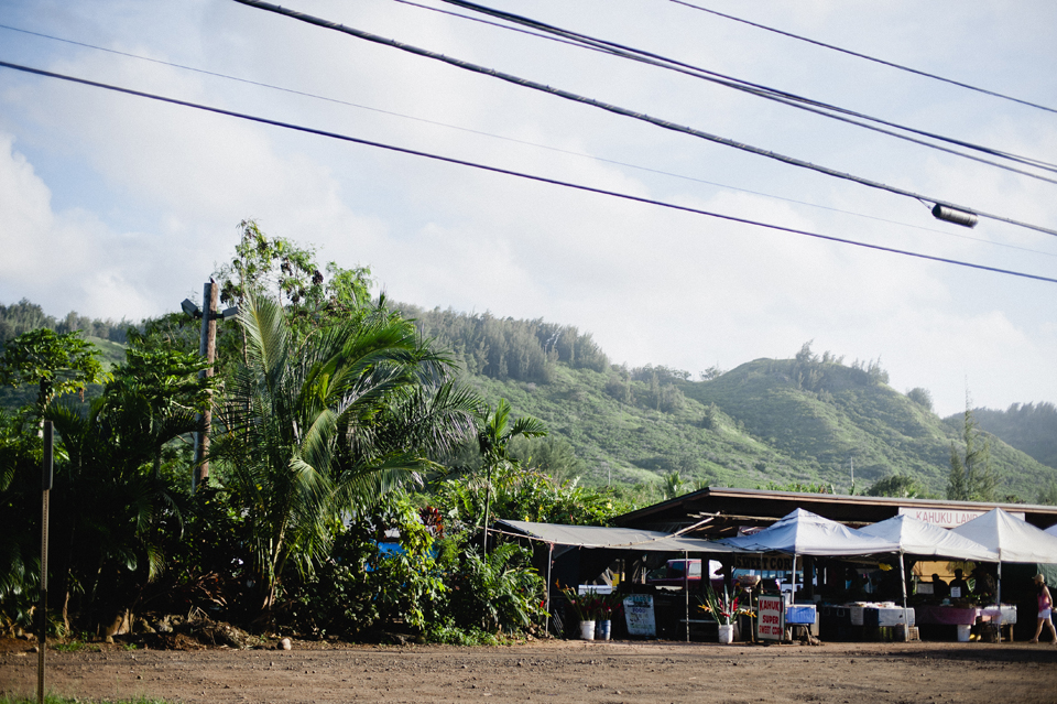 Intimate North Shore Wedding